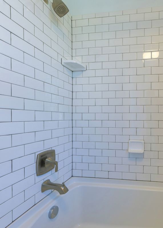 Bathroom Regrouting