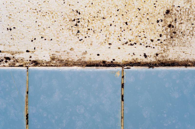 Mold and Mildew Prevention